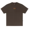 CAMISETA PLANO C FLAMES MARROM