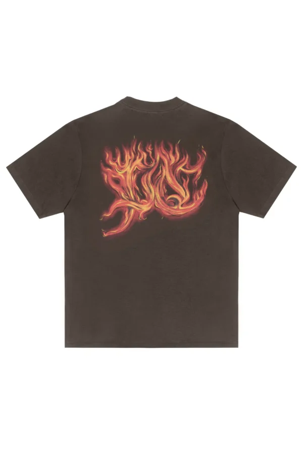 CAMISETA PLANO C FLAMES MARROM