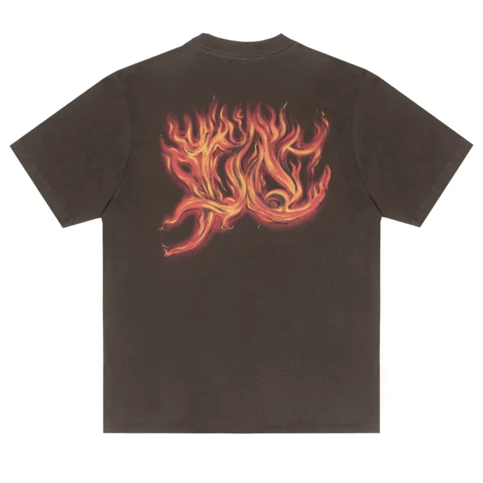 CAMISETA PLANO C FLAMES MARROM