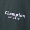 CAMISETA CHAMPION BICOLOR EST VERDE/BRANCA