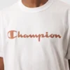 GT220B-PT0003-3-089 CAMISETA CHAMPION MC DUST PAINT