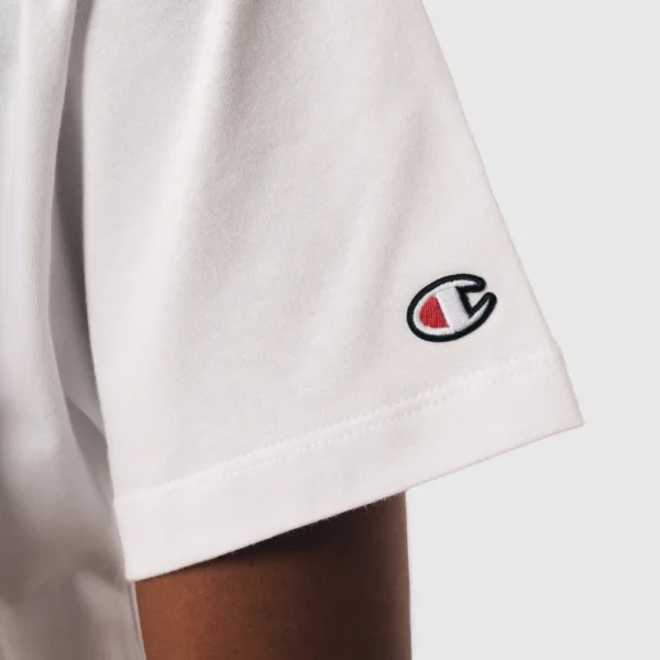 GT220B-PT0003-5-089 CAMISETA CHAMPION MC DUST PAINT