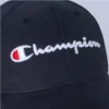 BONE CHAMPION ABA CURVA SCRIPT