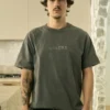 CAMISETA SUBURB COMPANY EMBROIDERY STONE CINZA