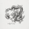 2500-2500-max (21) CAMISETA HIGH COMPANY FIRE DRAGON BRANCO